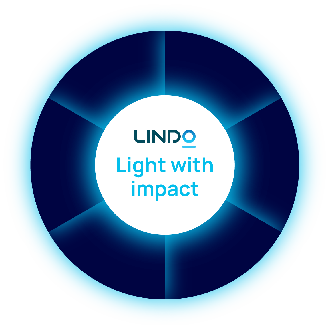 Lindo Light with Impact infographic-01